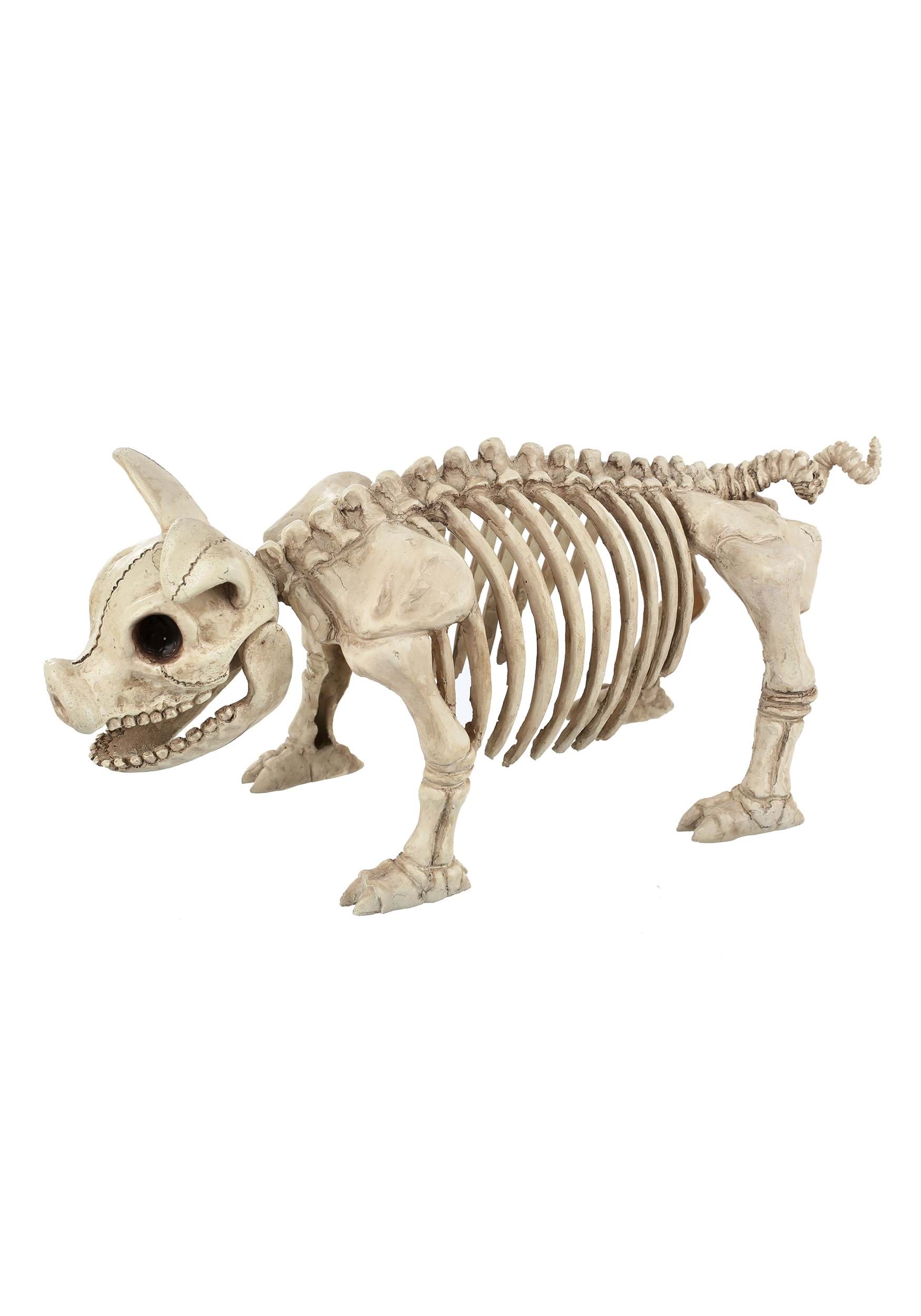 14.75 Inch Pig Skeleton Decoration , Halloween Decoration
