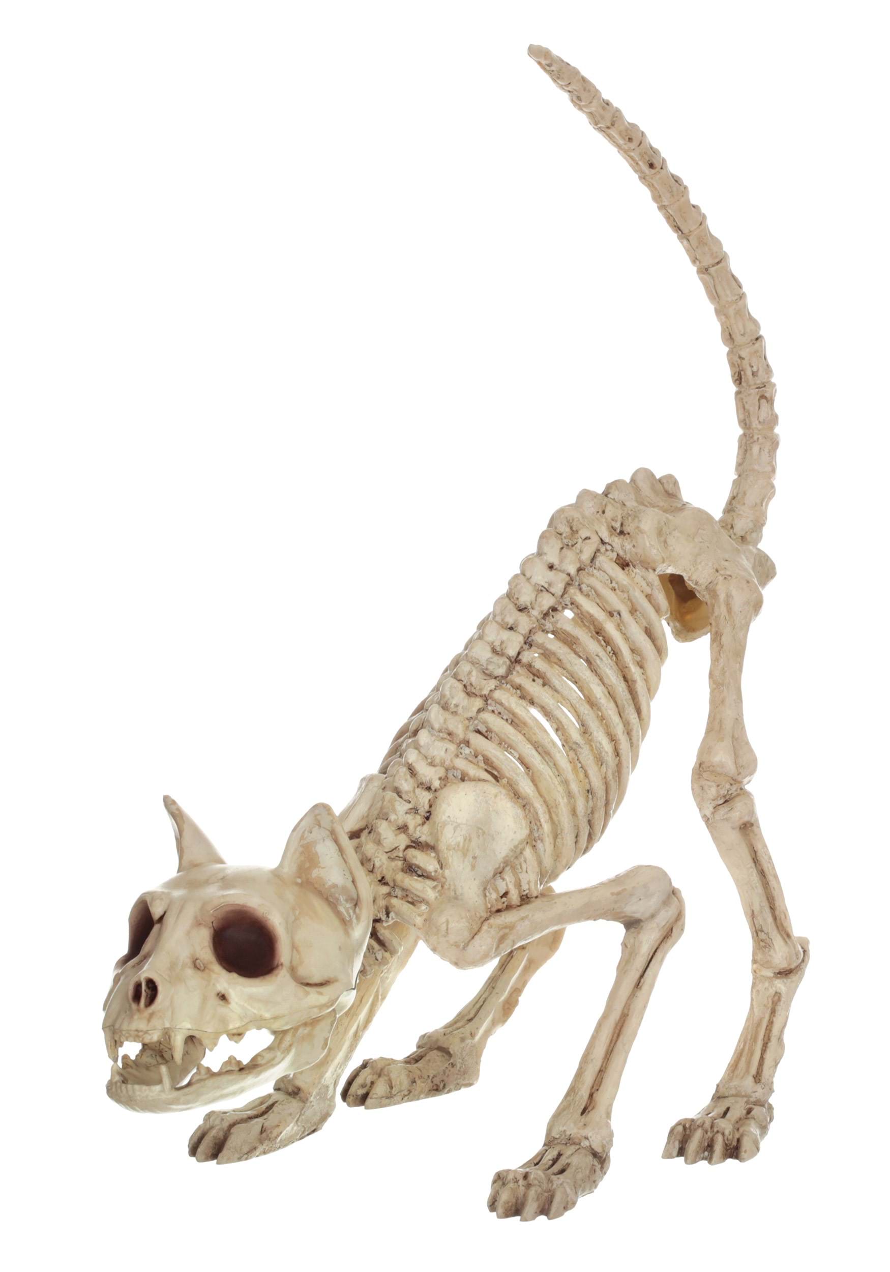 11 Inch Lil' Kitty Skeleton Halloween Prop , Animal Skeleton Decorations