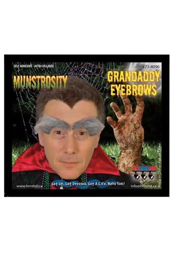 Old Man/Gramps Costume Eyebrows