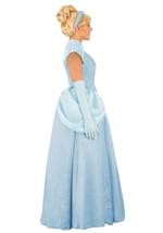 Adult Premium Cinderella Costume Alt 8
