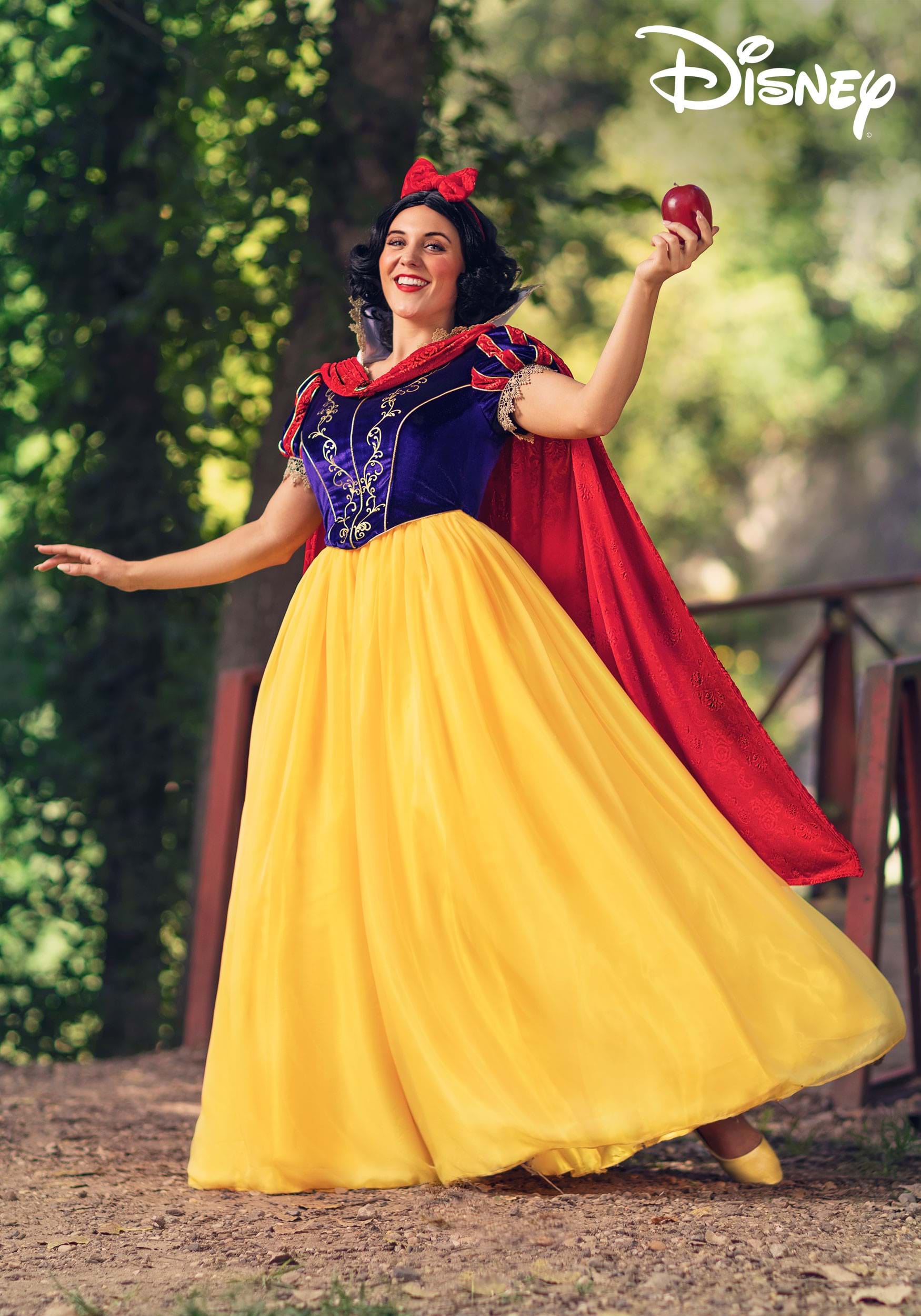 Plus Size Disney Snow White Evil Queen Costume for Women