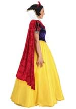 Adult Premium Snow White Costume Alt 4