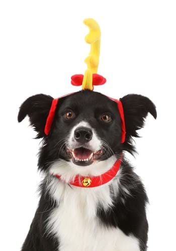 Click Here to buy Grinch Max Dog Holiday Costume from HalloweenCostumes, CDN Funds & Shipping