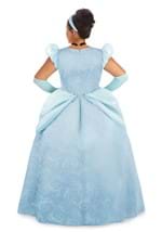 Plus Size Premium Cinderella Costume Alt 1