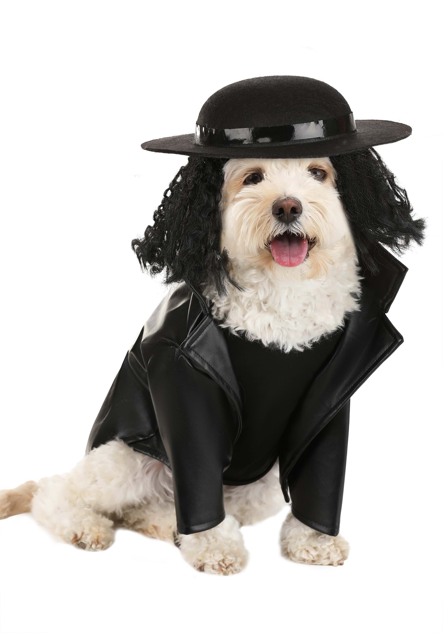 Undertaker Dog Costume