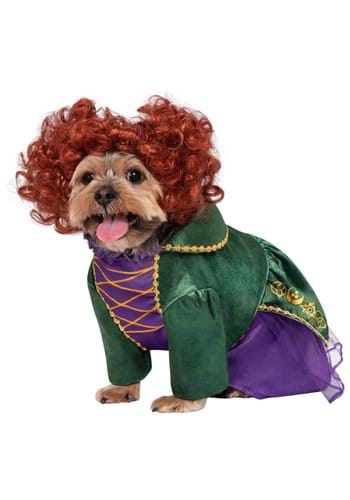 Click Here to buy Disney Hocus Pocus Winifred Sanderson Dog Costume from HalloweenCostumes, CDN Funds & Shipping