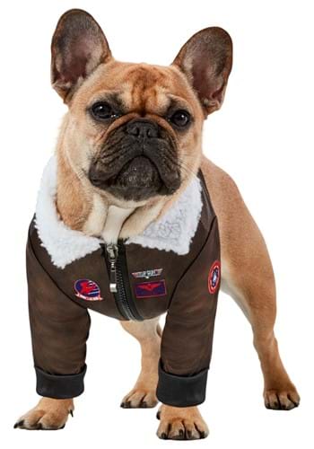 Click Here to buy Top Gun Pet Costume from HalloweenCostumes, CDN Funds & Shipping