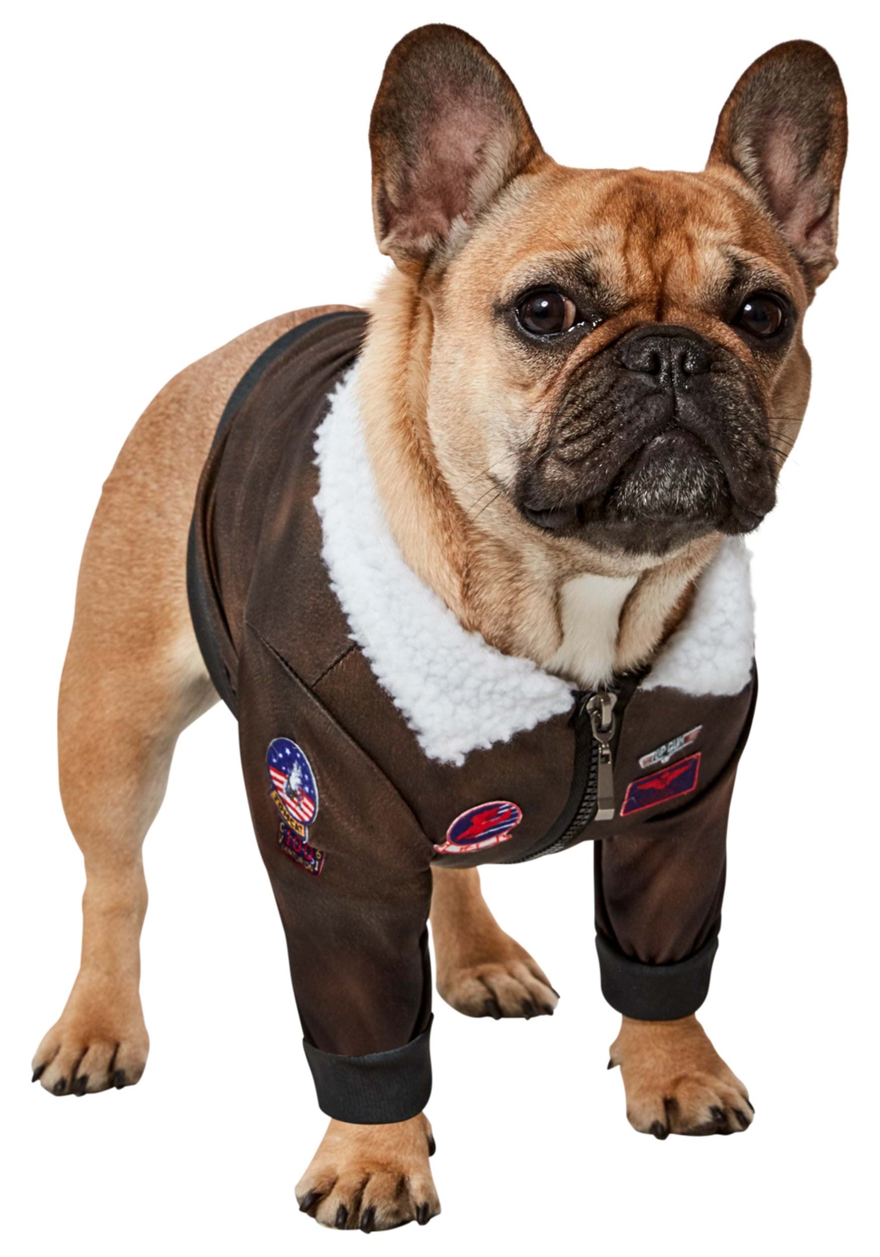 Dog Top Gun Costume