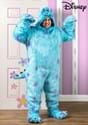 Plus Size Hooded Monsters Inc Sulley Costume