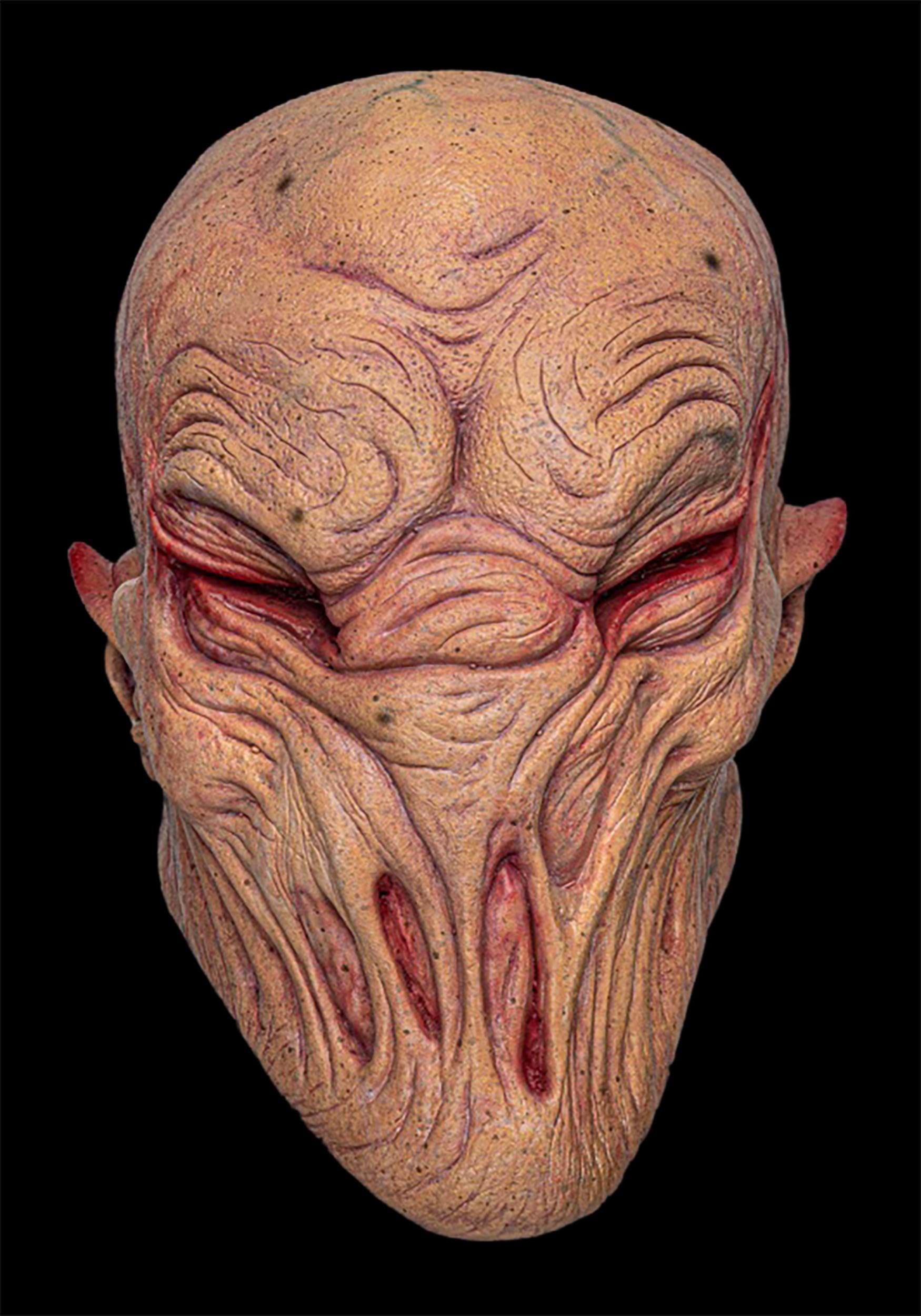 Twisted Full Face Adult Mask