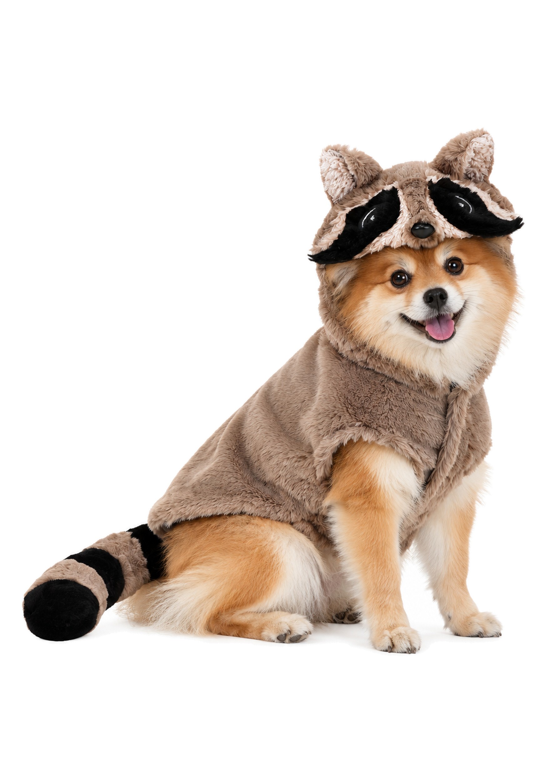 Dog Raccoon Costume
