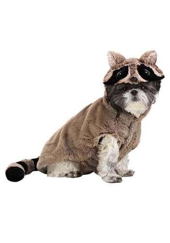 Dog Raccoon Costume