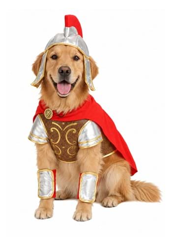 Gladiator Costume for Pets New Main