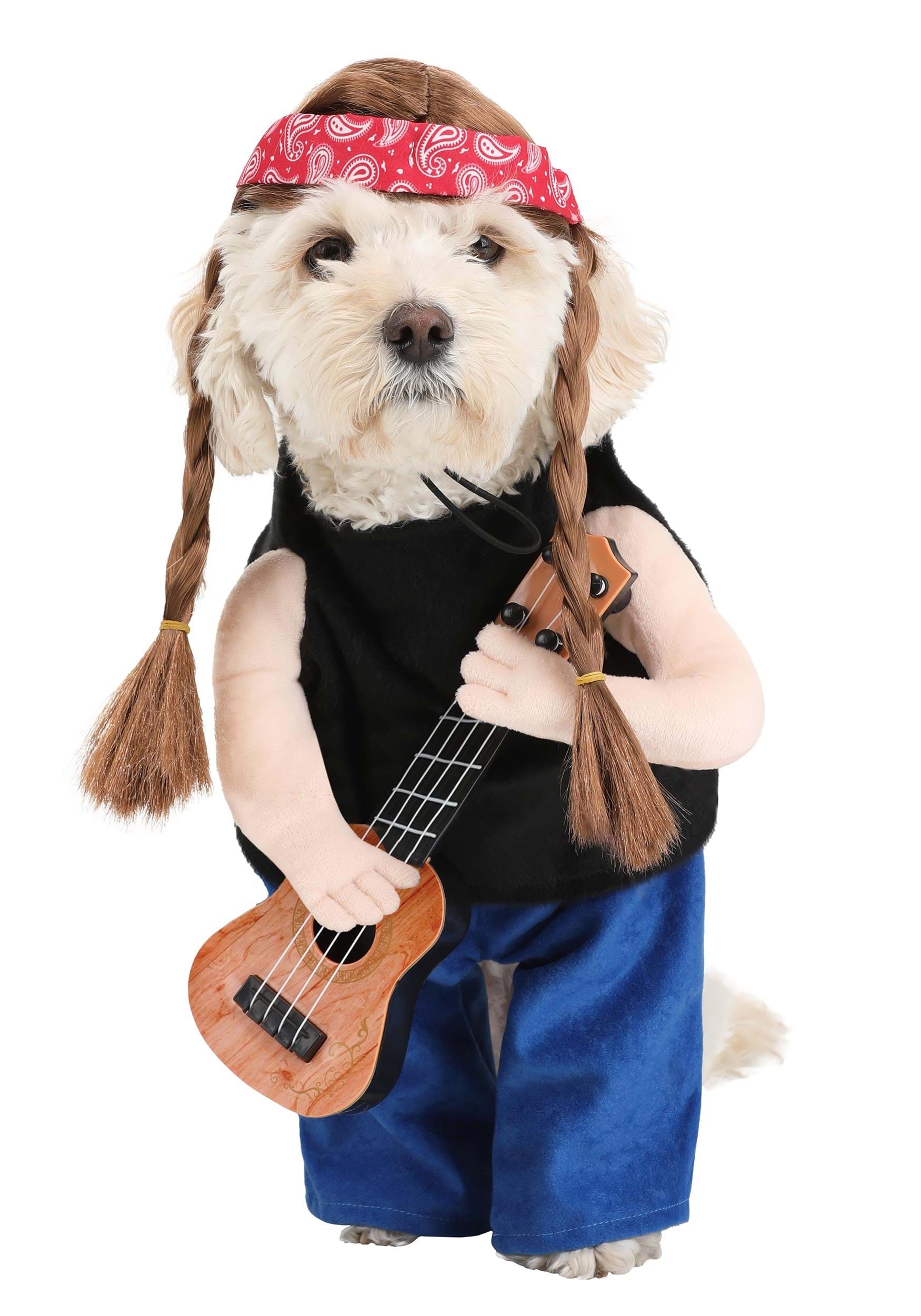 Willie Nelson Costume for Dogs
