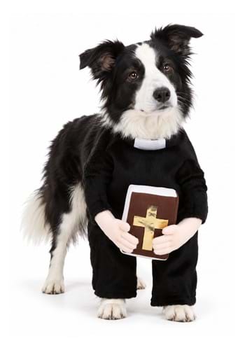 Priest Dog Costume New Main