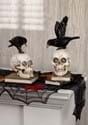 Set of 2 Resin LED Skull on Books w/Crow