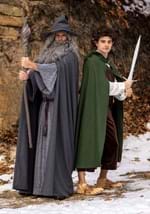 Adult Gandalf Lord of the Rings Costume Alt 4