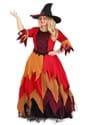 Plus Size Autumn Harvest Witch Costume