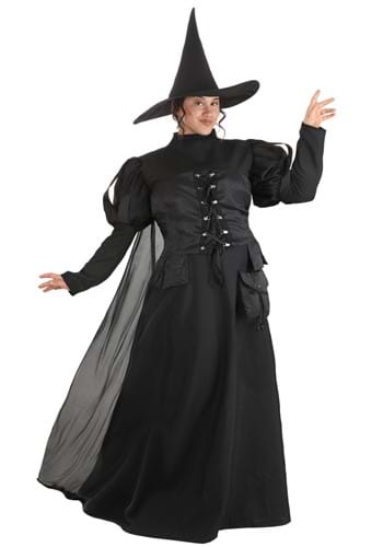 Womens Premium Plus Size Wayward Witch Costume