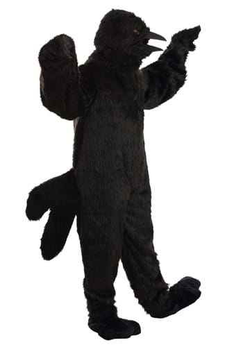 Crow Costumes for Adults & Kids | HalloweenCostumes.com