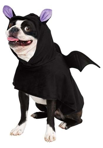 Click Here to buy Pet Bat Costume from HalloweenCostumes, CDN Funds & Shipping