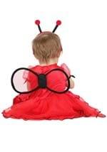 Infant Little Ladybug Costume Alt 3