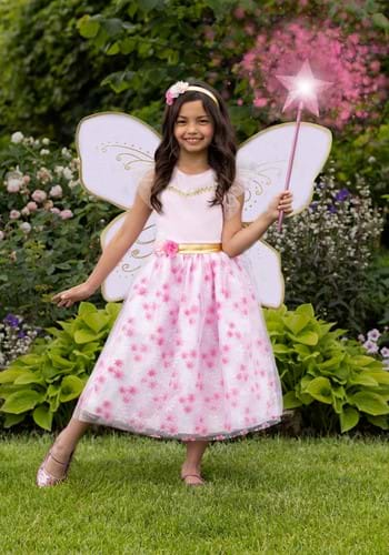 Fairy Costumes for Kids & Adults