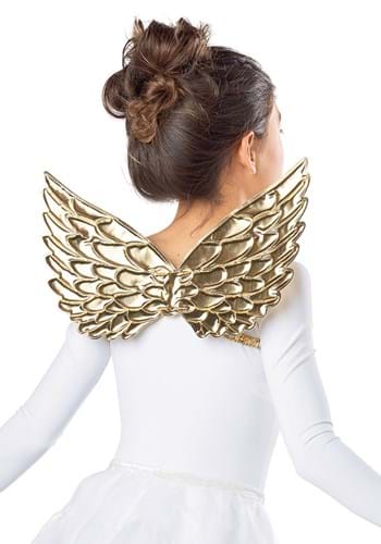 Child Angel Wing Accessories