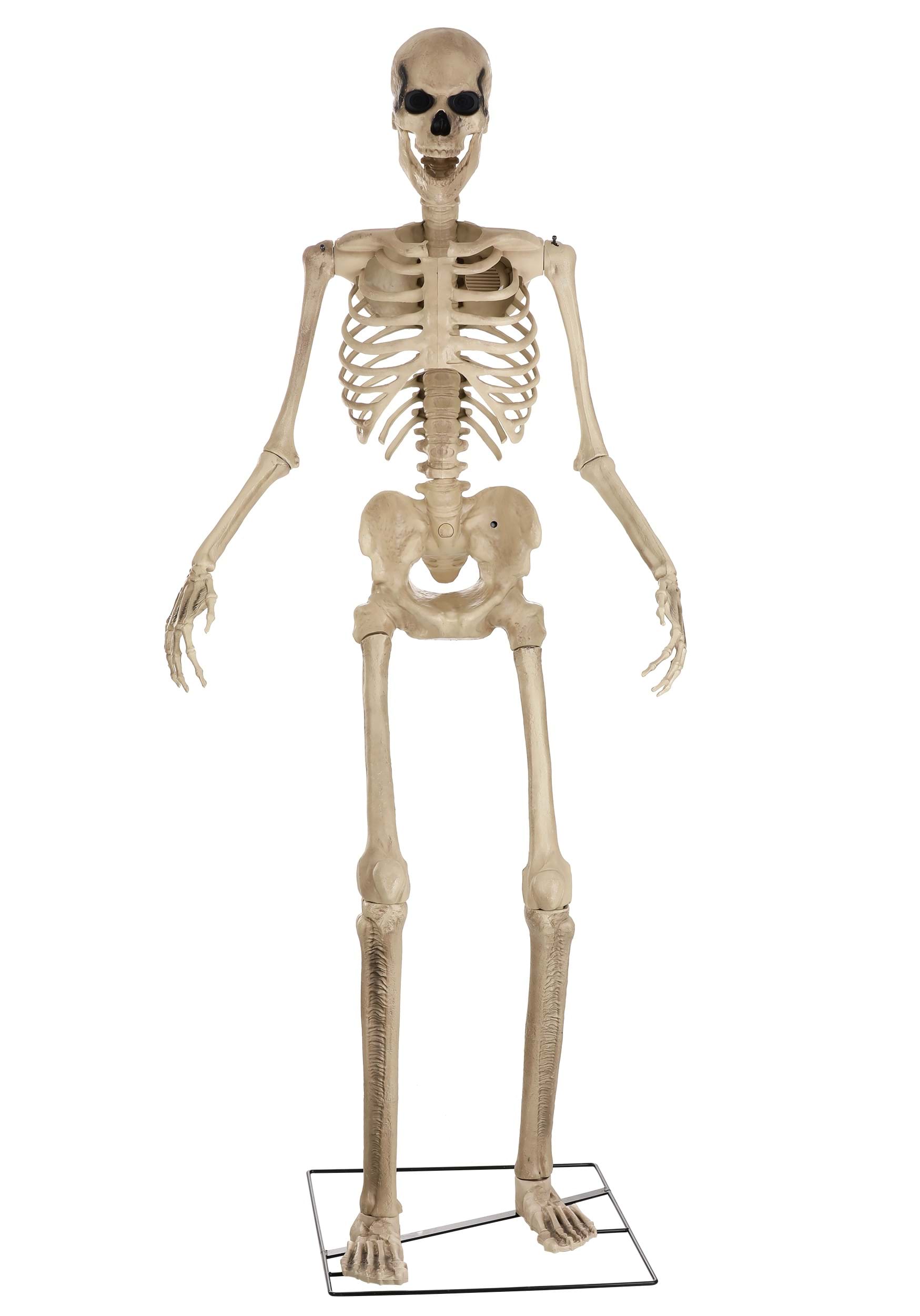 8FT Giant Animated Skeleton Decoration | Skeleton Decorations