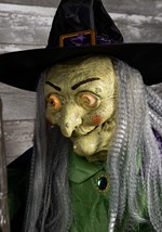 Stirring Up Trouble Animated Witch Decoration Alt 4