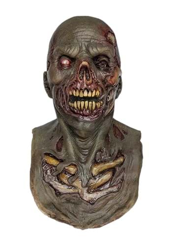 Click Here to buy Stench Zombie Adult Mask from HalloweenCostumes, CDN Funds & Shipping
