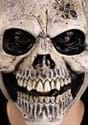 Antic Skull Full Face Mask Alt 1