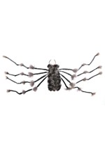 Large Hairy Gray Spider Decoration Alt 1