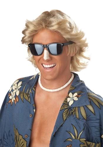 Click Here to buy 70s Feathered Hair Mens Wig from HalloweenCostumes, CDN Funds & Shipping
