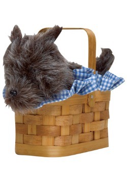 Toto Handbag Basket
