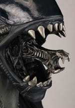 Adult Xenomorph Alien Mask Alt 1