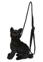 Black Cat Costume Companion Alt 2