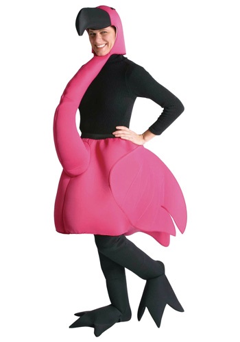 Click Here to buy Flamingo Costume from HalloweenCostumes, CDN Funds & Shipping