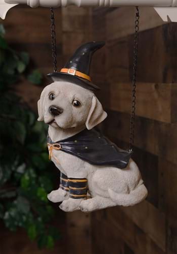 Click Here to buy 11.5 Inch Dog With Witch Hat Figure from HalloweenCostumes, CDN Funds & Shipping