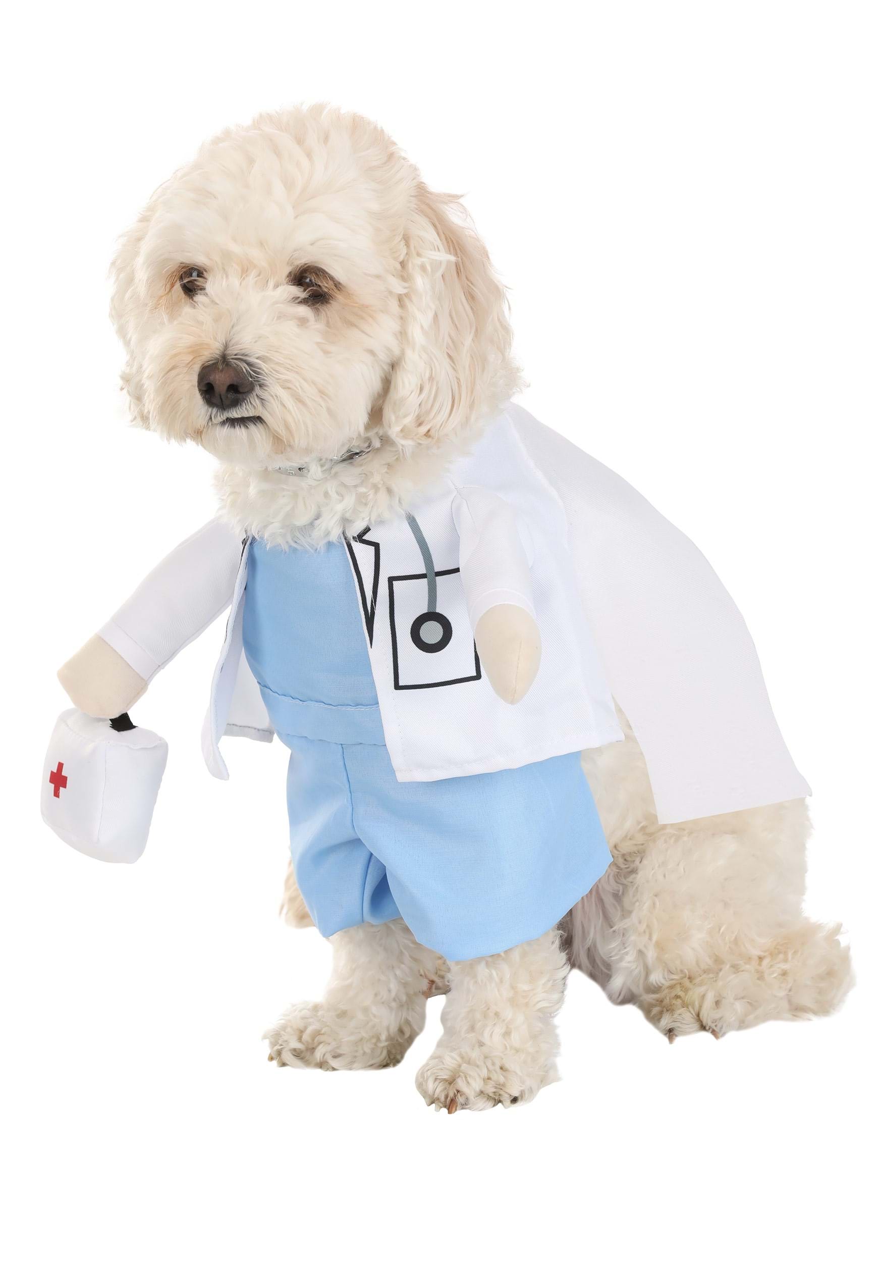 Doctor Pet Costume