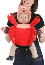 Sebastian Baby Carrier Cover Alt 2