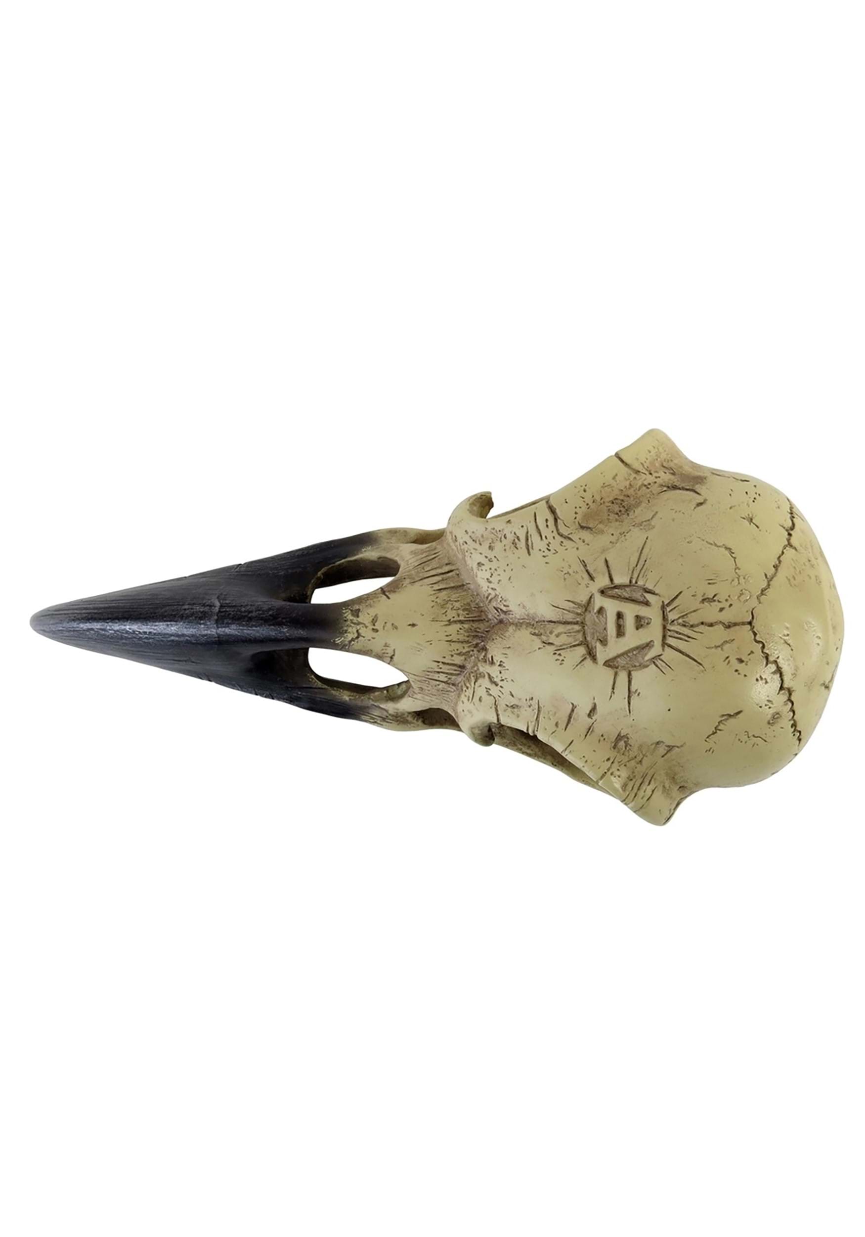 6 Inch Corvus Alchemica Skull