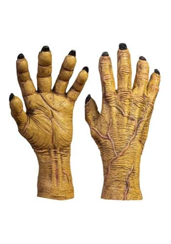 Click Here to buy Zombie Claw Adult Gloves from HalloweenCostumes, CDN Funds & Shipping
