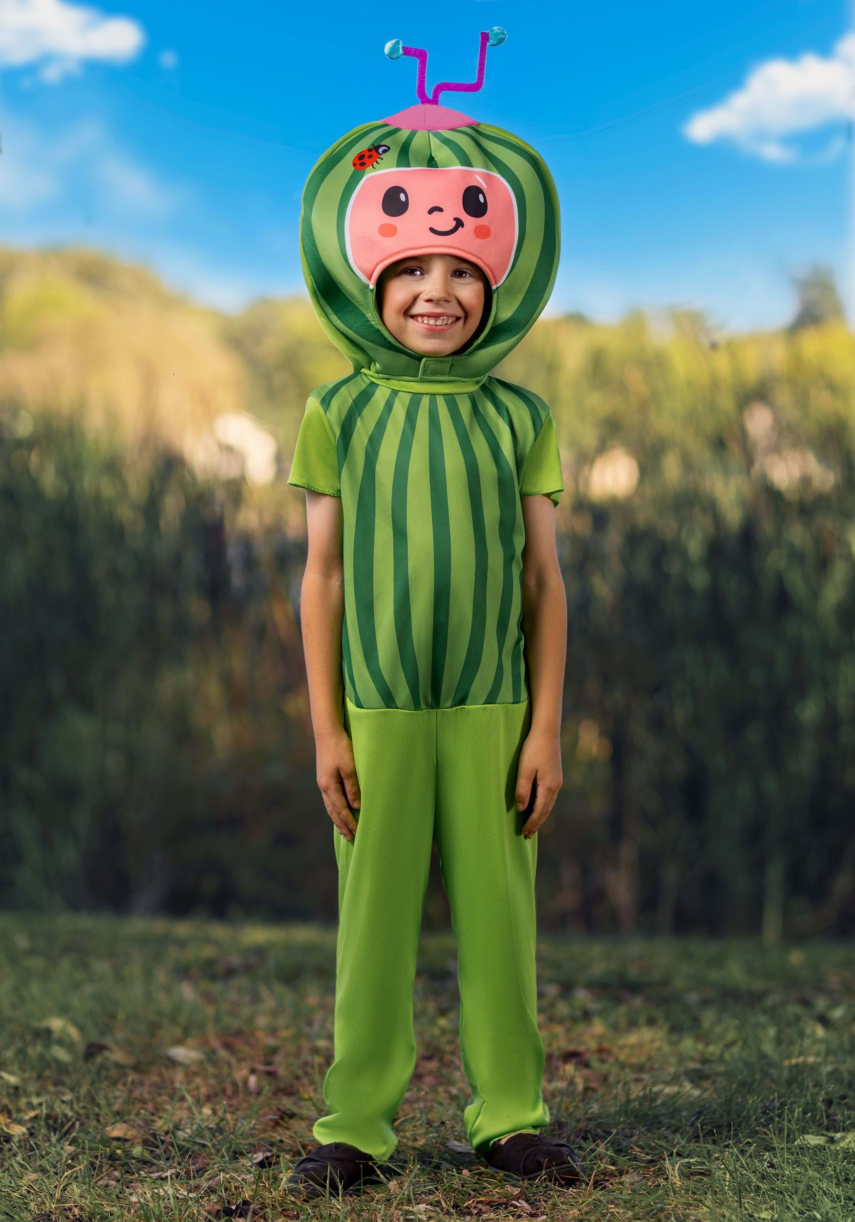 Cocomelon Toddler/Infant Melon Costume