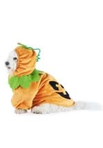 Pumpkin Pet Costume Alt 2
