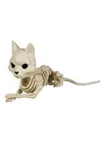 Cute Skeleton Cat Alt 1