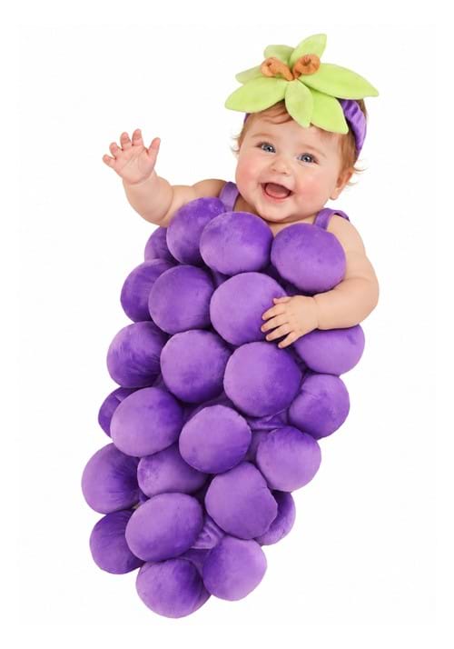 Infant Grape Bunting Costume New Main 1