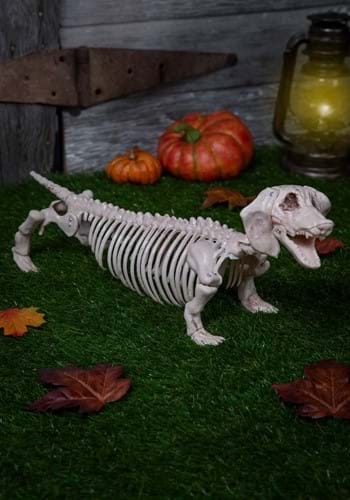 Europalms Halloween Skeleton Dog, 71x40x25cm