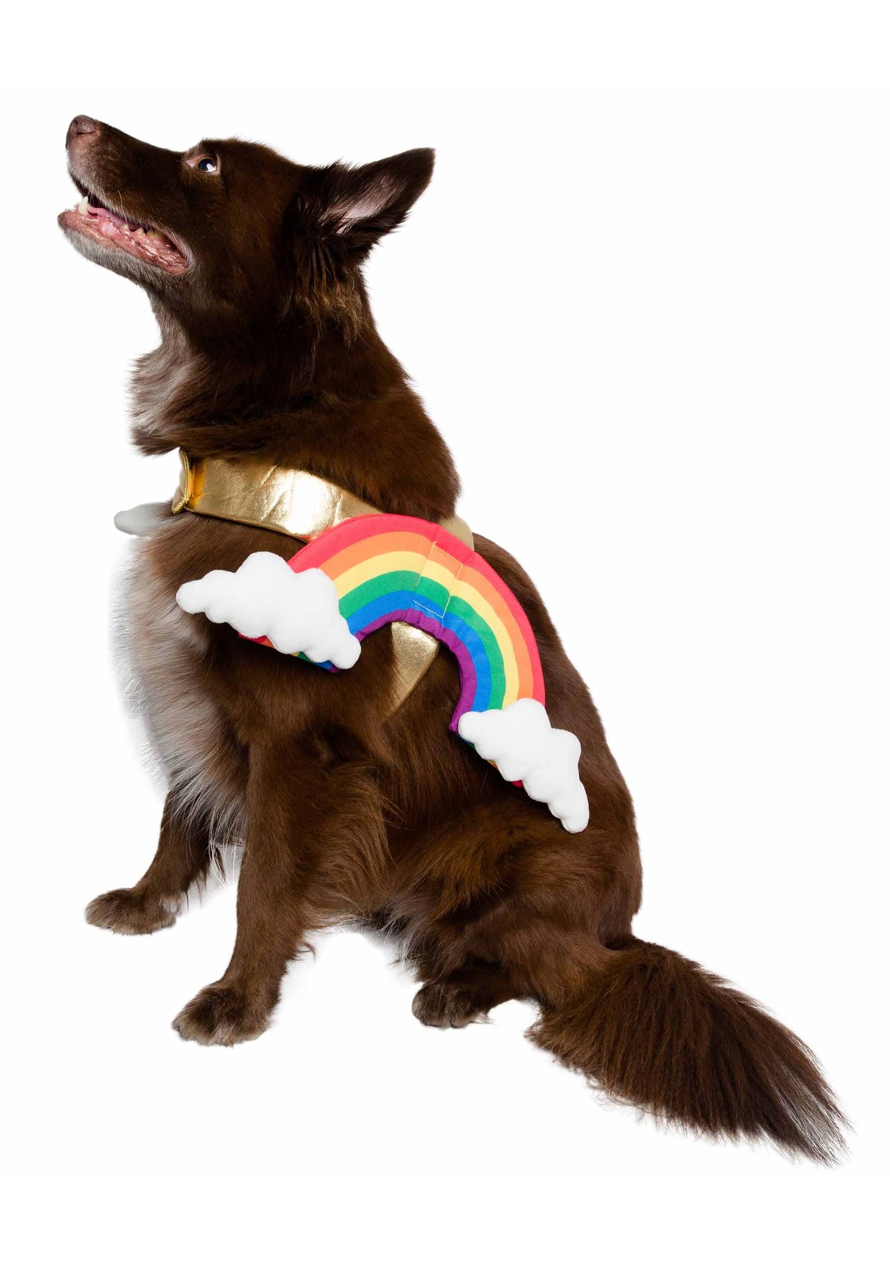 Rainbow Dog Costume