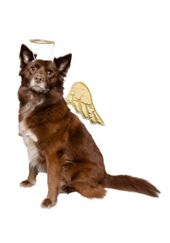 Gold Angel Dog Costume